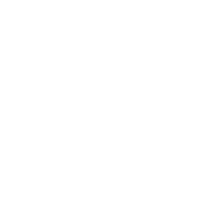 ประกันชีวิต aia logo